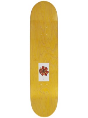 Pacheco Blooming 8&amp;#034; Skateboard Deck