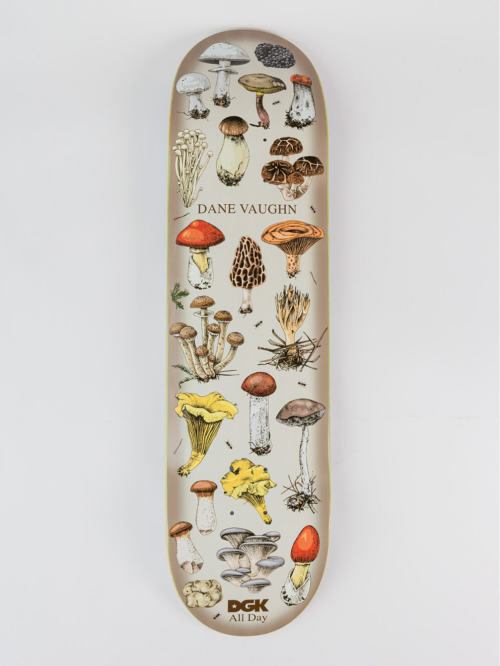 All Night Vaughn 8.25" Skateboard deck All Night Vaughn 8.25" Skateboard deck