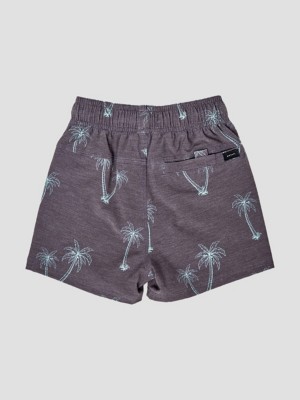 Party Pack Volley 10&amp;#034; Boardshorts
