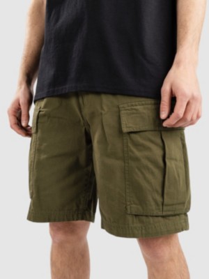 DC Tundra Cargo Shorts grün