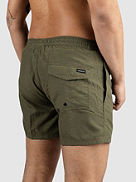 Everyday Deluxe Volley 15 Boardshorts