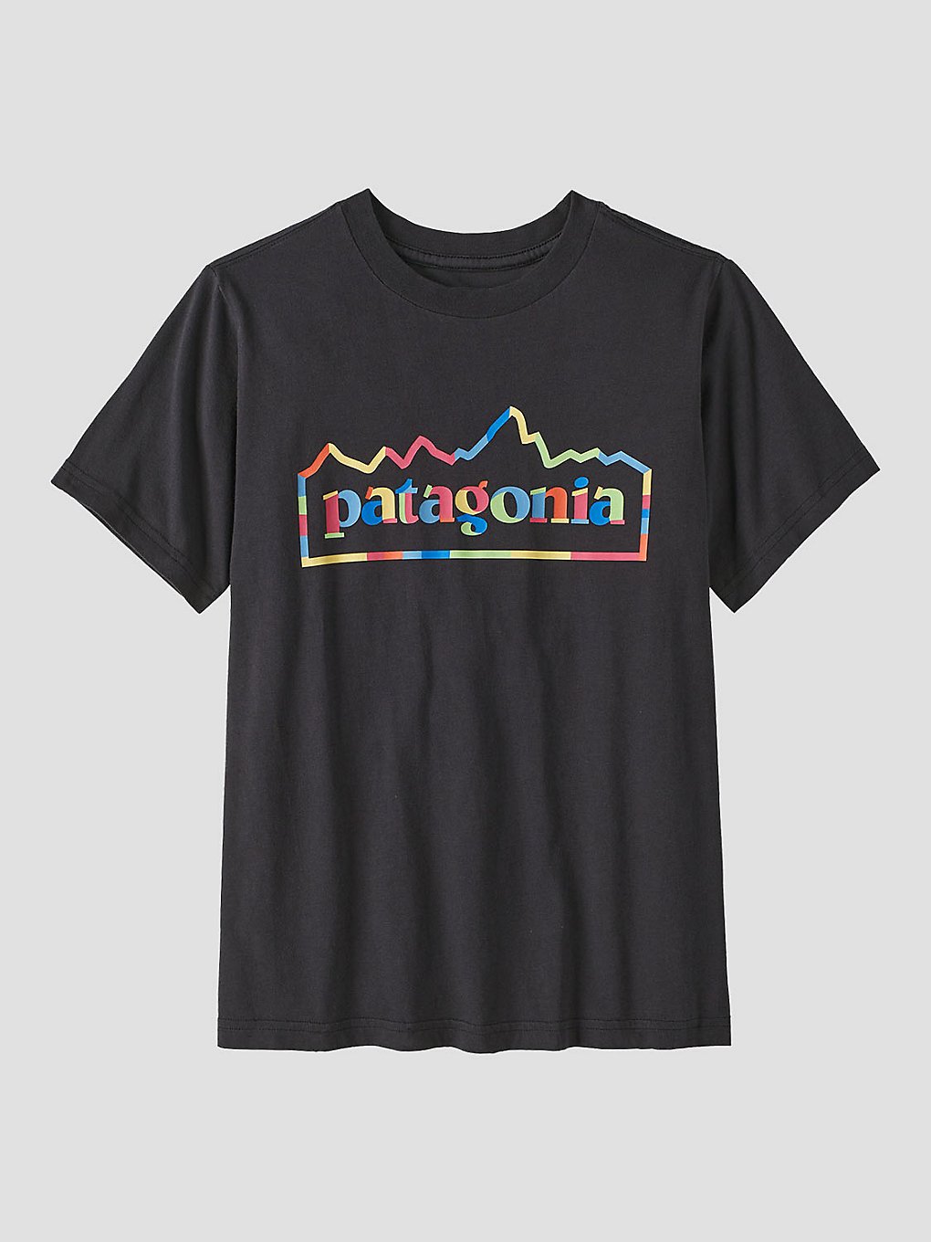 Patagonia Graphic T-Shirt noir
