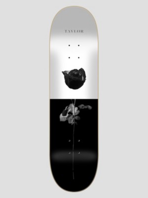 Taylor 3 8.38&amp;#034; Skateboard Deck