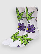 Green Buddy Bloom Socken