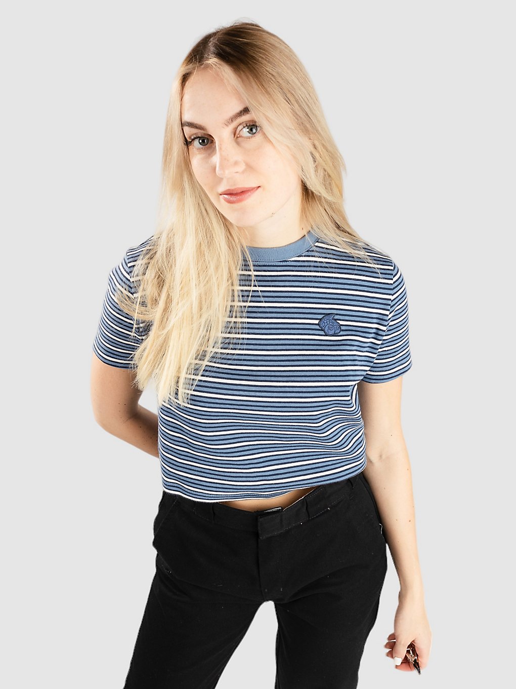Image of Dickies Altoona Stripe T-Shirt blu
