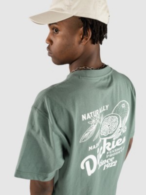 Image of Dickies Raven T-Shirt verde