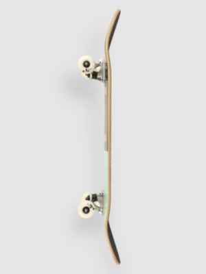 Xray Panda Fp 8&amp;#034; Skateboard complet