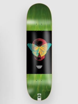 Symbiosis 8.25&amp;#034;X31.85&amp;#034; Lc Skateboard Deck