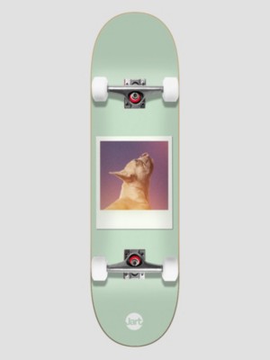 Jart Instant Film 8.25"X31.85" Skateboard mønster