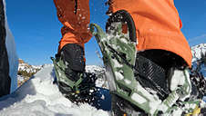 Fenix 2024 Fijaciones Snowboard