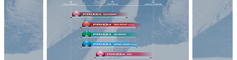 oakley holbrook prizm gläser oakley holbrook prizm gläser