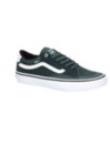 Vans Mesh TNT Advanced Prototype Scarpe da Skate