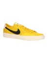 Nike SB Blazer Court DVDL Scarpe da Skate
