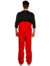 THE NORTH FACE Free Thinker Bib Pants
