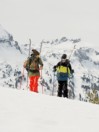 THE NORTH FACE Free Thinker Bib Pants