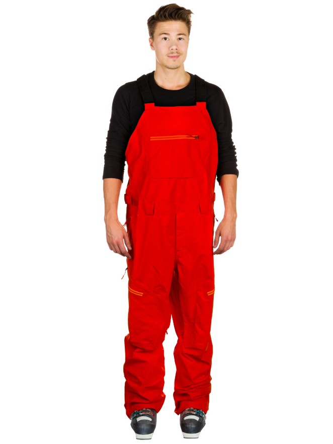 THE NORTH FACE Free Thinker Bib Pants