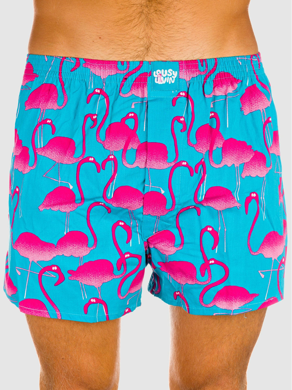 Flamingo Boxershorts