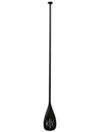 Light Full Carbon