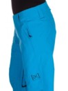 Burton Ak 2L Stratus Pants