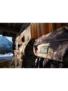Burton Tinder Rucksack