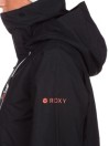 Roxy Wilder Gore-Tex Jacket