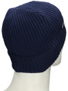 Patagonia Fishermans Rolled Beanie