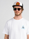 Santa Cruz Classic Dot Mesh Caps