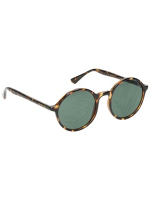 Komono Madison Tortoise