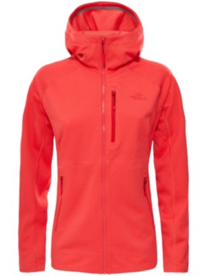 north face progressor hoodie