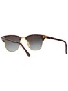Ray-Ban Clubmaster Shiny Red Havana Sonnenbrille