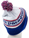 Patagonia Powder Town Beanie