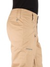 Patagonia Snowshot Pants