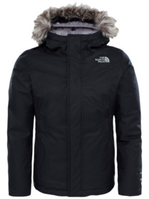 the north face greenland down parka