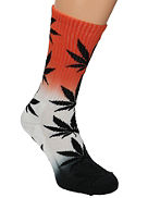 Tri-Fade Plantlife Crew Chaussettes