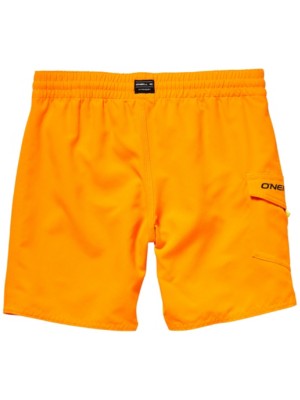 Sunstruck Boardshorts