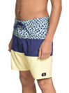 DC Hot Blocked 18 Bañador