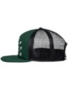 DC Time Flosser Cap