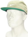 Nike SB Pro Vintage Snapback