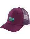 Patagonia Trucker Kids Cap