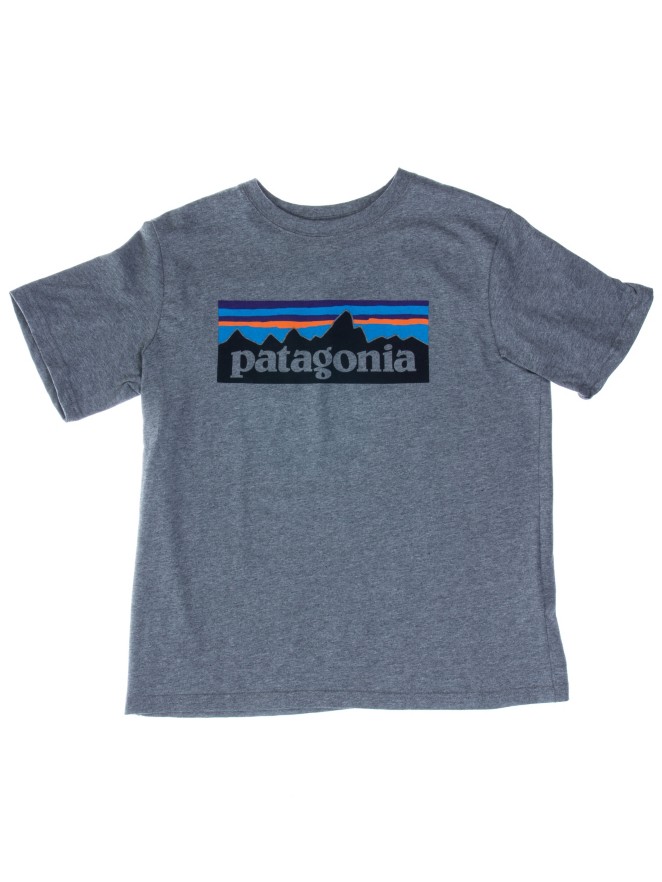 Patagonia P-6 Logo Organic T-Shirt