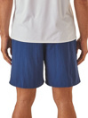 Patagonia Baggies Long 7″ Shorts