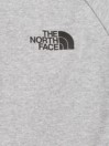 THE NORTH FACE Raglan Redbox Felpa con Cappuccio