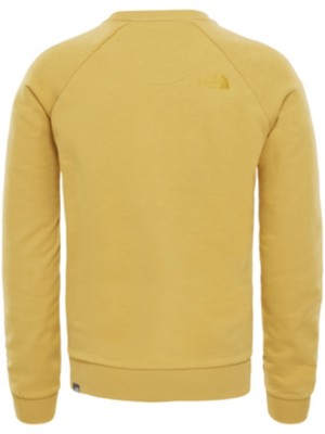 the north face raglan simple dome crew