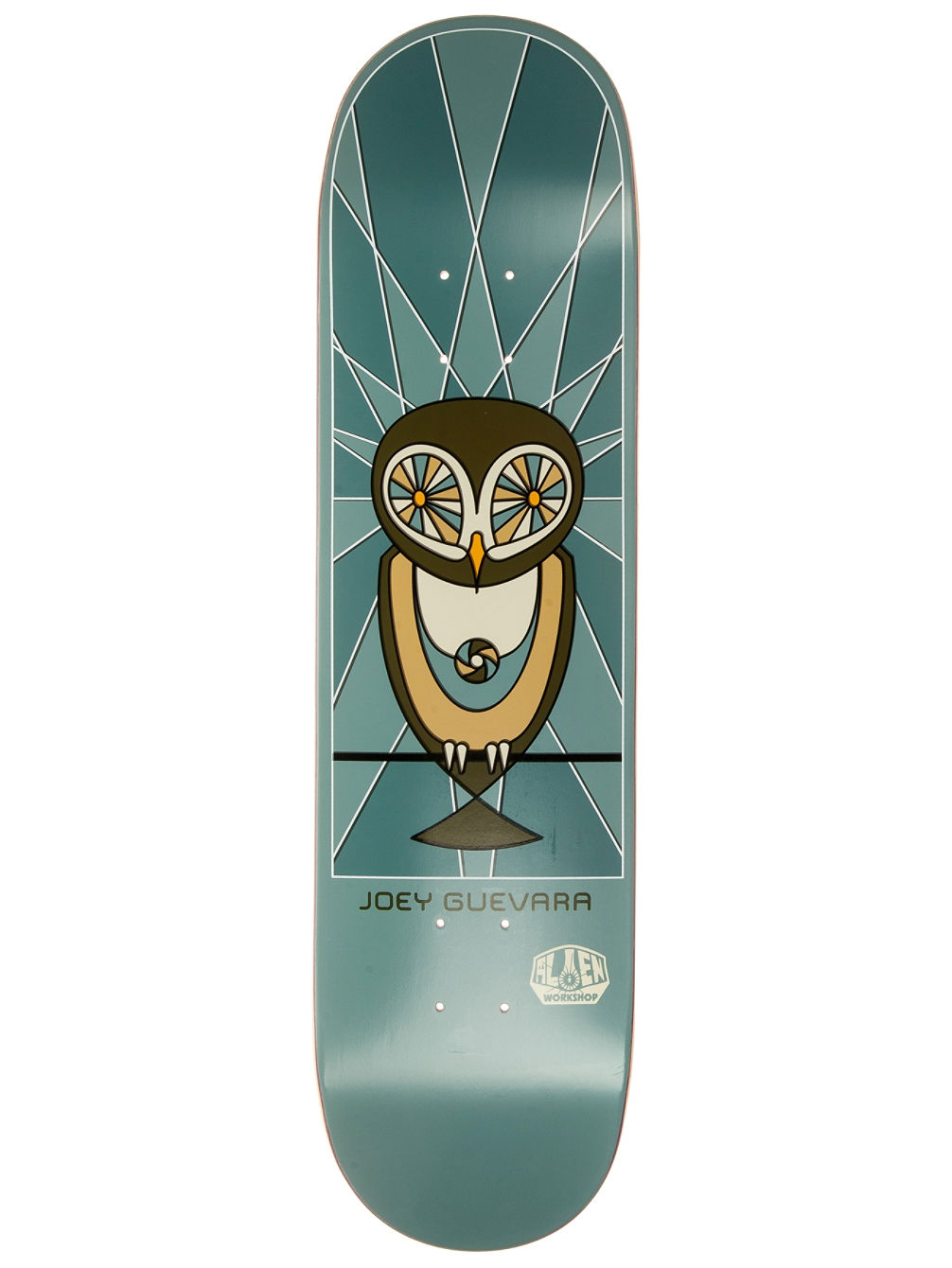 Pro Joey Owl 8.13&amp;#034; Skate Deck