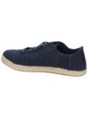TOMS Lena Sneakers
