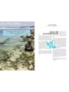 Indojunkie Surf Bali Reiseführer