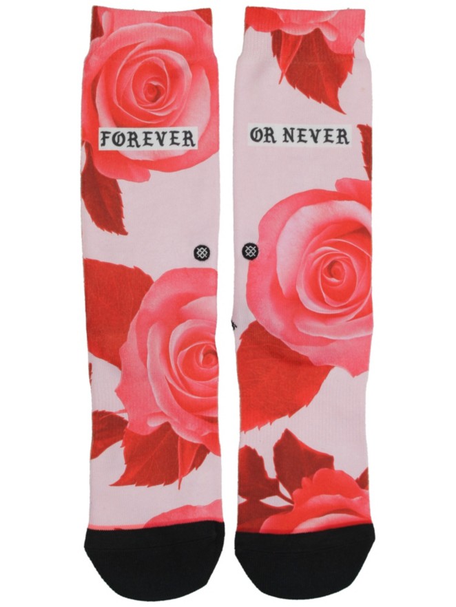 Stance Dedication Tomboy Socken