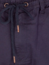 REELL Reflex 2 Pants