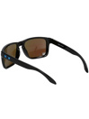 Oakley Holbrook XL Polished Black