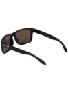 Oakley Holbrook Polished Black